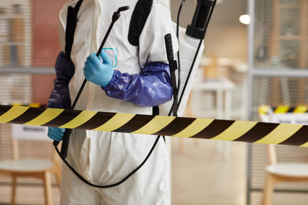 Professional Sewage Cleanup technician working in Union City, OH